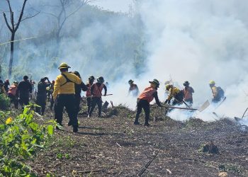 Entidades se unen para evaluar la capacidad de respuesta ante incendios forestales en Petén