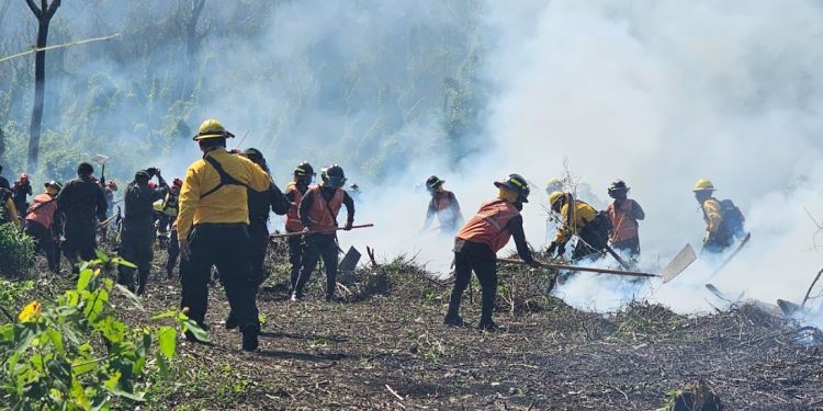 Entidades se unen para evaluar la capacidad de respuesta ante incendios forestales en Petén