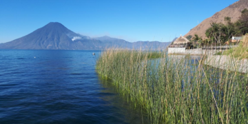 Conap y Marn prohíben la producción de tilapia en el Lago de Atitlán. (Foto: archivo)