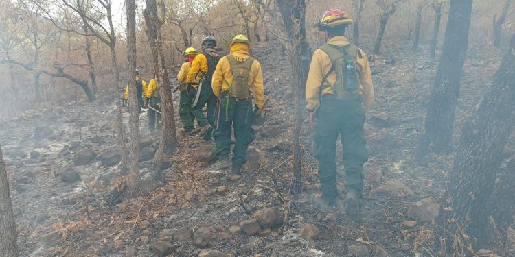 Compromiso interinstitucional para la atención de incendios en Jalapa