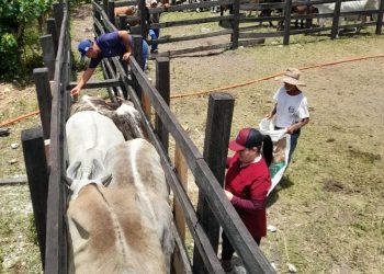 MAGA capacita a ganaderos de Melchor de Mencos. / Foto: MAGA.