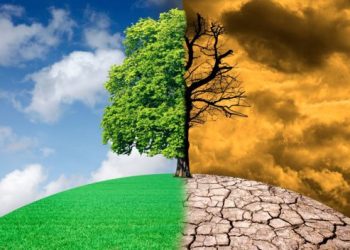 Cambio climático agravará el problema mundial de la resistencia a los antimicrobianos