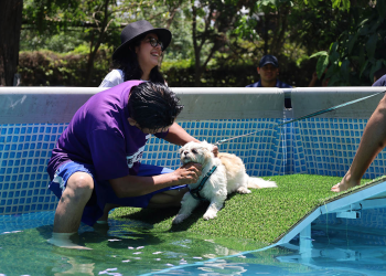 Uno de los aspectos más valorados por los visitantes fue la explicación detallada sobre cómo actuar ante casos de maltrato animal. / Foto: MAGA
