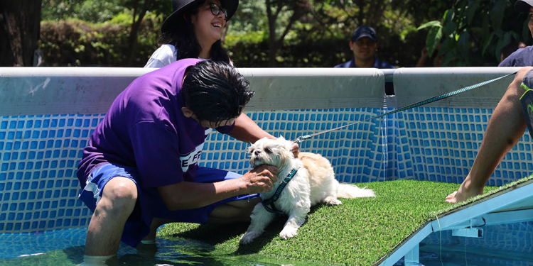 Uno de los aspectos más valorados por los visitantes fue la explicación detallada sobre cómo actuar ante casos de maltrato animal. / Foto: MAGA