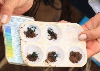 Esto favorece una agricultura más eficiente, con menores impactos ambientales. / Foto: MAGA