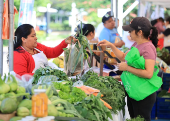 Varios de los agricultores participantes han sido capacitados por el Ministerio de Agricultura, Ganadería y Alimentación. / Foto: MAGA