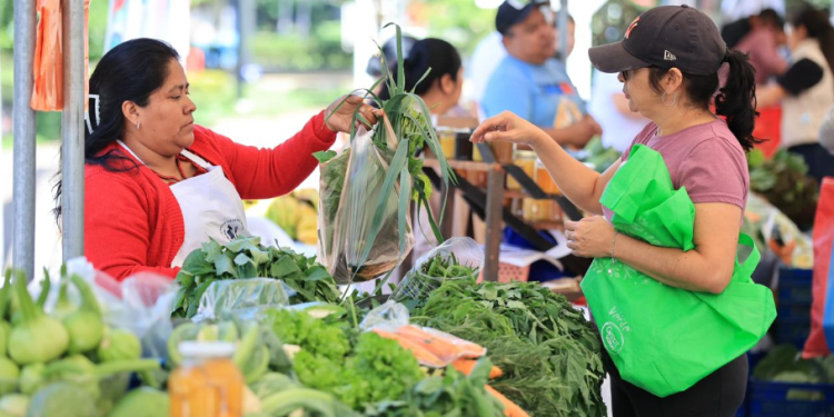 Varios de los agricultores participantes han sido capacitados por el Ministerio de Agricultura, Ganadería y Alimentación. / Foto: MAGA