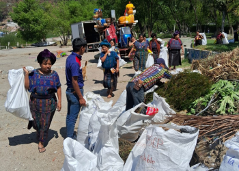 Realizaron jornadas de limpieza en las orillas del lago Atitlán. (Foto: Marn)