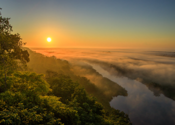 El 22 de abril se celebra el Día Internacional de la Madre Tierra. (Foto: Conap)