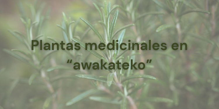 La Academia de Lenguas Mayas de Guatemala (ALMG), comparte contenido educativo en sus plataformas digitales para fortalecer las raíces mayas. / Arte: AGN.