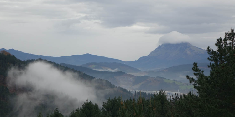 La institución reafirma su compromiso de apoyar a los productores para garantizar la seguridad alimentaria. / Foto: MAGA