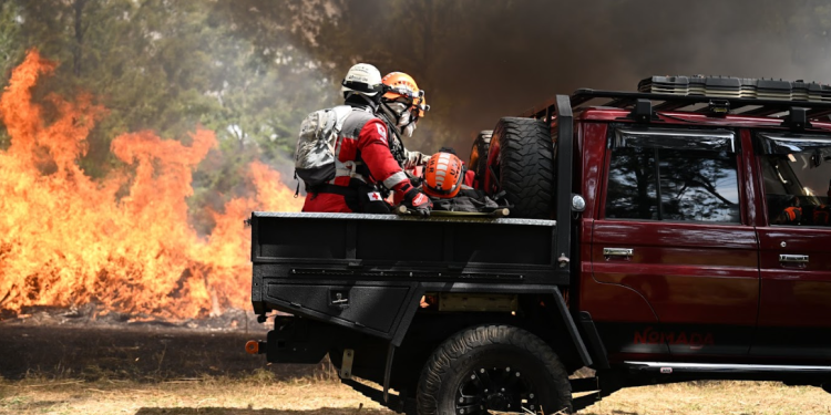 Temporada de incendios 2025 al mes de abril ha sido más baja a comparación del 2024. (Foto: Byron de la Cruz)