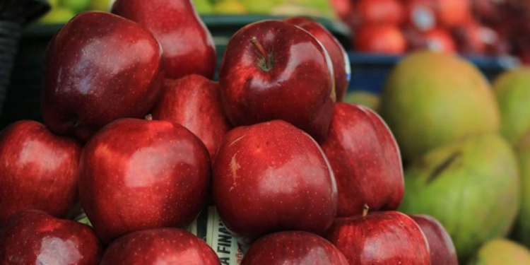 El enfoque del MAGA responde al compromiso de garantizar alimentos sanos, seguros y accesibles. / Foto: MAGA