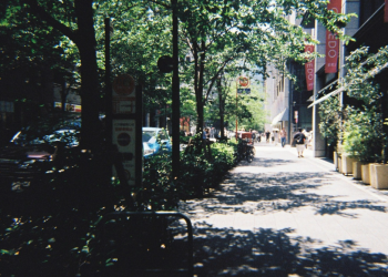 Este 29 de marzo ocurrirá el "Día sin sombra"./Foto: Unsplash.