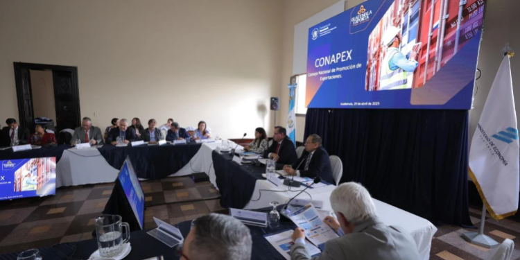 segunda reunión del CONAPEX