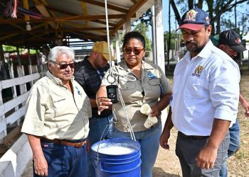 Concurso resalta el potencial del hato lechero de Petén. / Foto: MAGA.