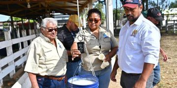 Concurso resalta el potencial del hato lechero de Petén. / Foto: MAGA.