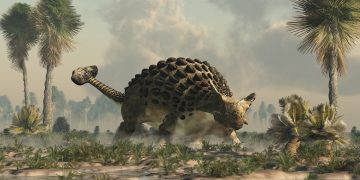 Ejemplar de anquilosaurio. / Foto: Lifeder.