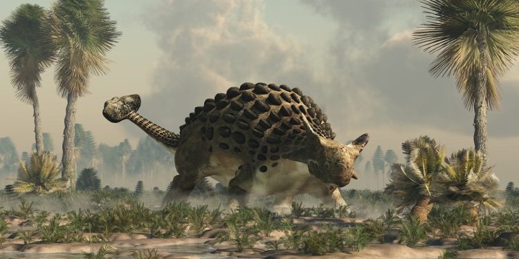 Ejemplar de anquilosaurio. / Foto: Lifeder.