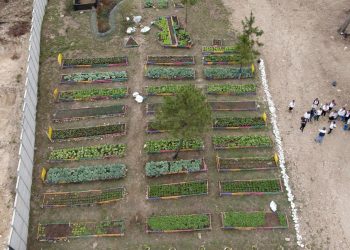 Agrovida, estrategia integral a través de huertos sostenibles, ahorro y crédito comunitario