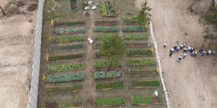 Agrovida, estrategia integral a través de huertos sostenibles, ahorro y crédito comunitario