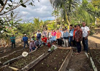 Huertos comunales forman parte de un sistema agrícola fortalecido en Chiquimula. / Foto: MAGA.