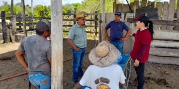 MAGA capacita en Petén sobre enfermedades del ganado bovino. / Foto: MAGA.