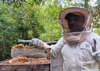 MAGA provee asistencia a productores apícolas de Petén. / Foto: MAGA.