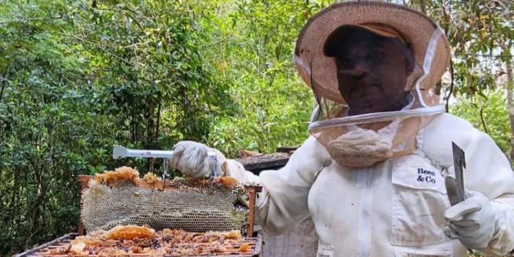MAGA provee asistencia a productores apícolas de Petén. / Foto: MAGA.