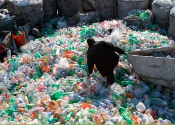 Miles de toneladas de plástico siguen causando contaminación en el mundo. / Foto: EFE Verde.