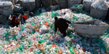 Miles de toneladas de plástico siguen causando contaminación en el mundo. / Foto: EFE Verde.