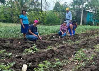 Mujeres de Santo Domingo, Poptún, reciben pilones y capacitación. / Foto: MAGA.