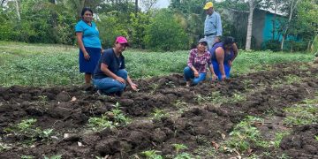 Mujeres de Santo Domingo, Poptún, reciben pilones y capacitación. / Foto: MAGA.