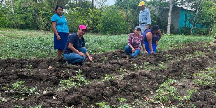 Mujeres de Santo Domingo, Poptún, reciben pilones y capacitación. / Foto: MAGA.