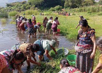 Poyectos comunitarios Mujeres de San Pedro La Laguna, Sololá, trabajan por la conservación del lago de Atitlán.