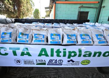 Este nivel de producción representa una oportunidad importante para mejorar la disponibilidad de alimentos en comunidades rurales. / Foto: MAGA