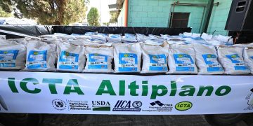 Este nivel de producción representa una oportunidad importante para mejorar la disponibilidad de alimentos en comunidades rurales. / Foto: MAGA