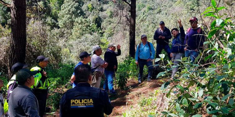 Acciones preventivas y colaboración contra incendios forestales en Áreas Protegidas de Huehuetenango