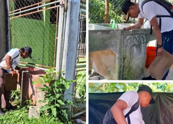 Acciones de prevención para combatir enfermedades transmitidas por vectores en Petén