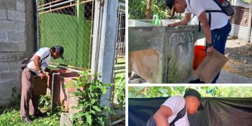 Acciones de prevención para combatir enfermedades transmitidas por vectores en Petén