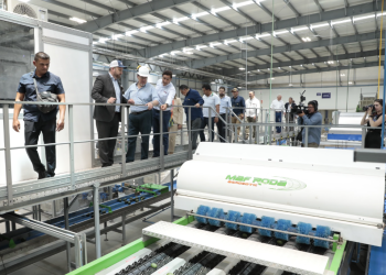 Guatemala busca nuevos mercados para la exportación de aguacate