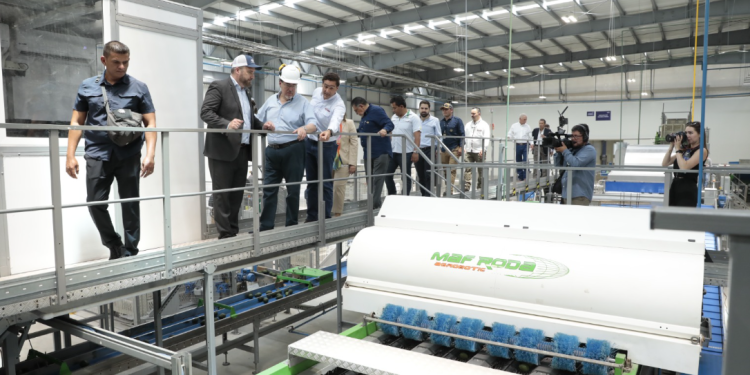 Guatemala busca nuevos mercados para la exportación de aguacate