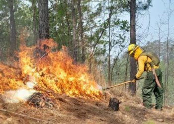 COED de Petén refuerza acciones para el control de incendios forestales