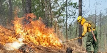 COED de Petén refuerza acciones para el control de incendios forestales