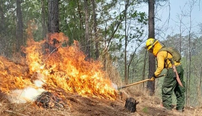 COED de Petén refuerza acciones para el control de incendios forestales