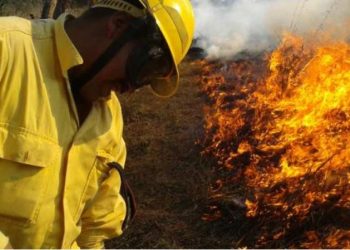 Siguen los esfuerzos para prevenir incendios forestales en Petén