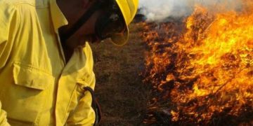 Siguen los esfuerzos para prevenir incendios forestales en Petén