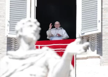 El papa aparece en la plaza de San Pedro para saludar a los fieles en el Domingo de Ramos