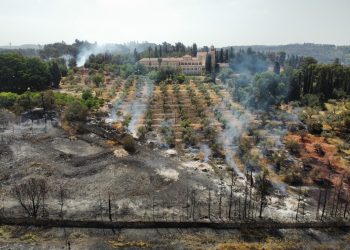 Fuego en Israel: Bomberos luchan contra incendios forestales en Jerusalén