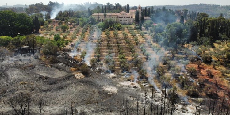 Fuego en Israel: Bomberos luchan contra incendios forestales en Jerusalén
